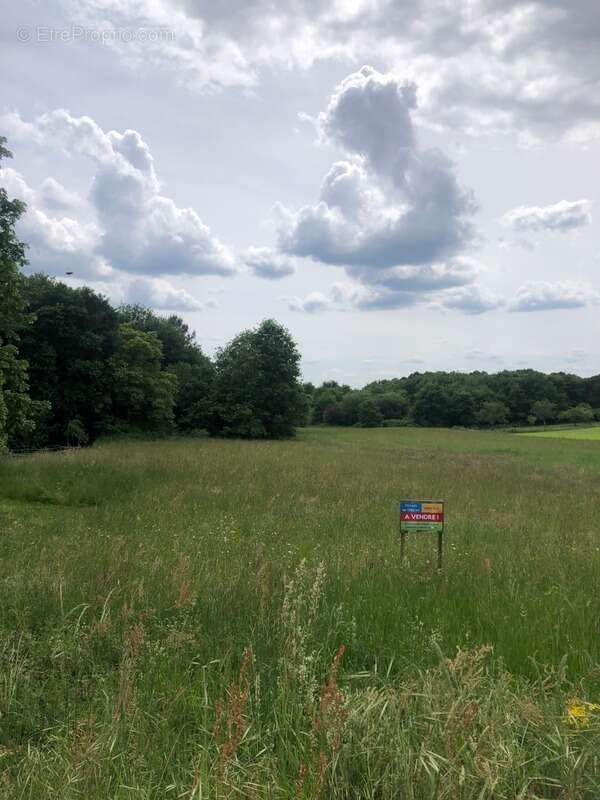 Terrain à SAINT-FRONT-DE-PRADOUX