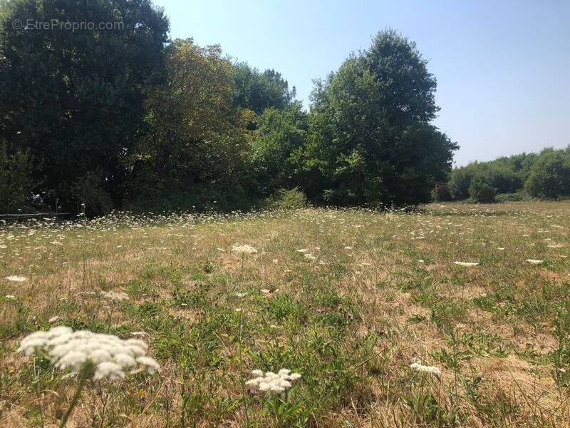 Terrain à SAINT-FRONT-DE-PRADOUX