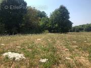 Terrain à SAINT-FRONT-DE-PRADOUX