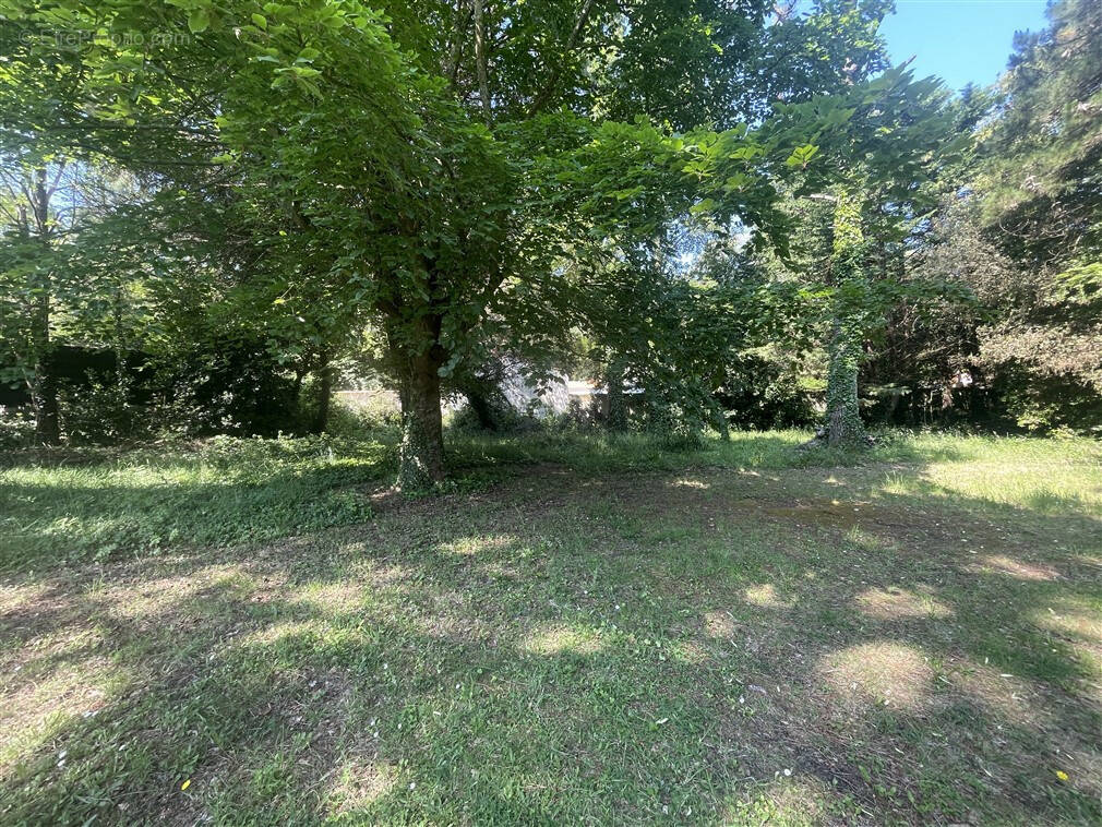 Terrain à LA GUERINIERE