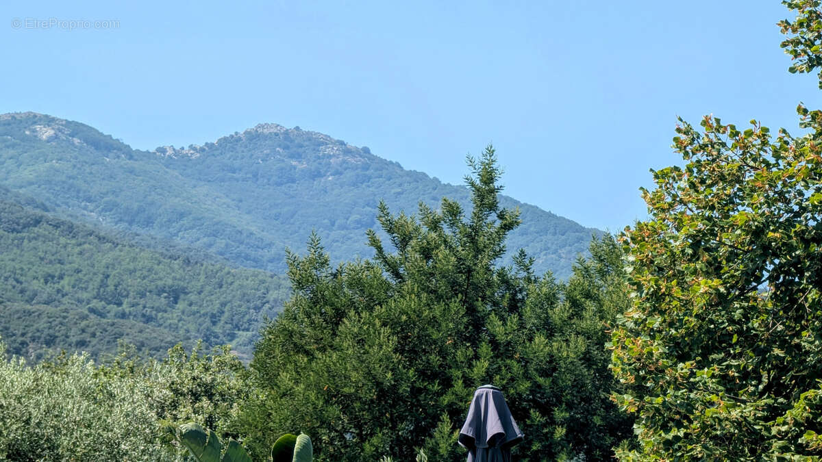 Maison à LAROQUE-DES-ALBERES