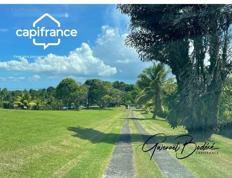 Terrain à PETIT-BOURG