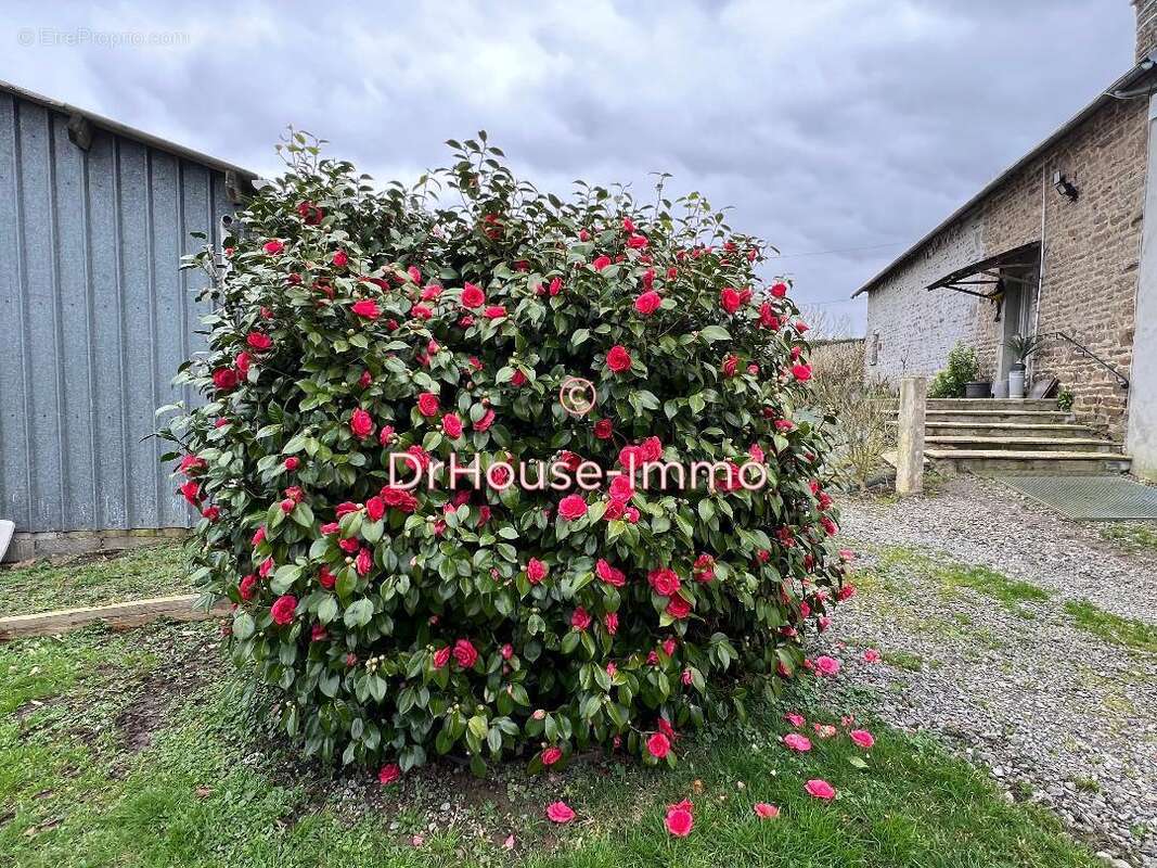 Maison à LA BAZOQUE