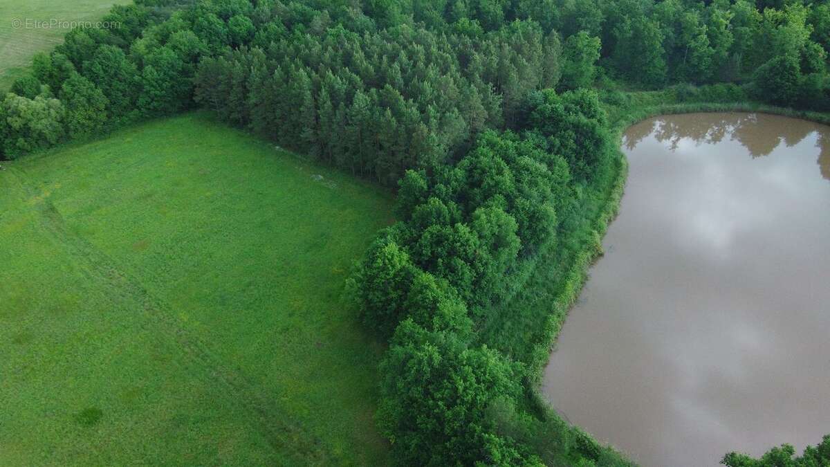 Terrain à MUR-DE-SOLOGNE