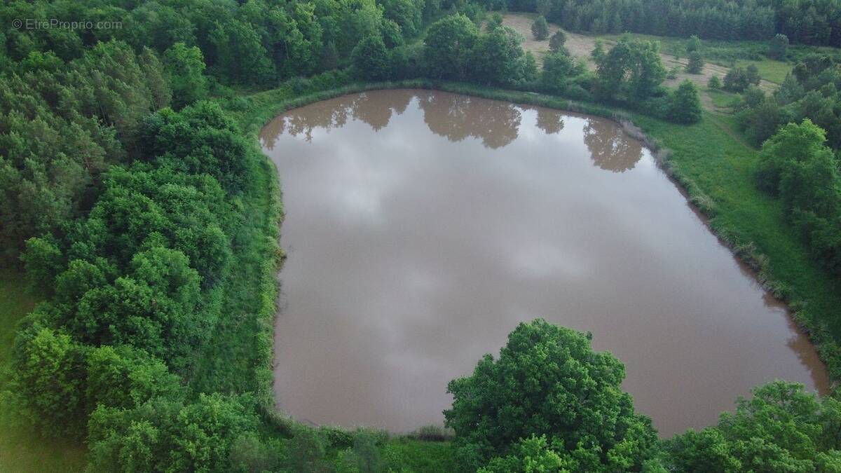 Terrain à MUR-DE-SOLOGNE