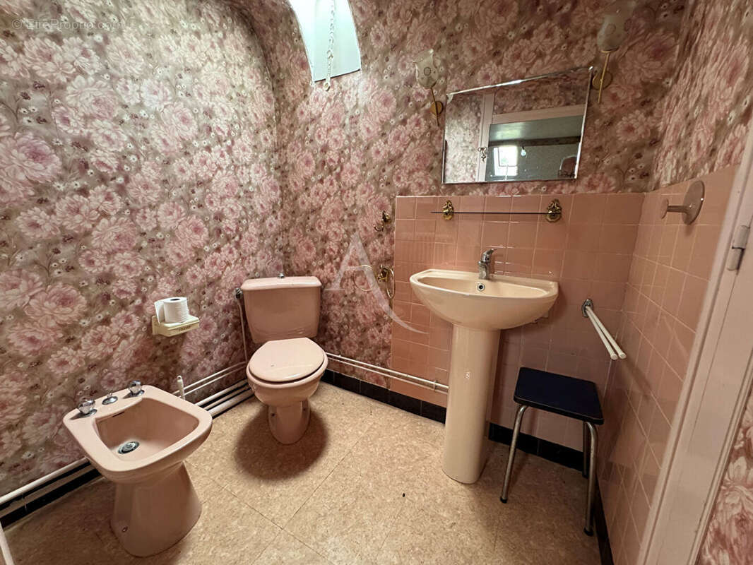 Maison à PRUNIERS-EN-SOLOGNE