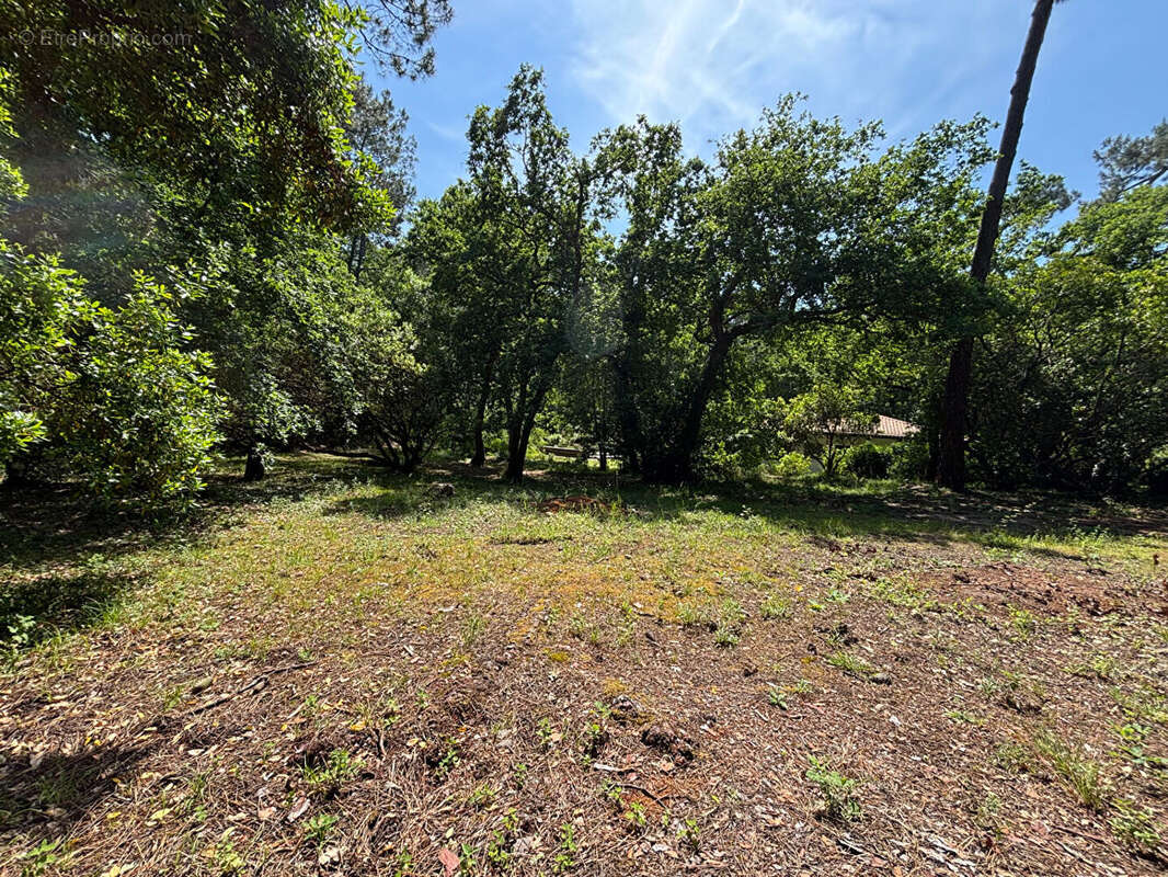 Terrain à ARCACHON