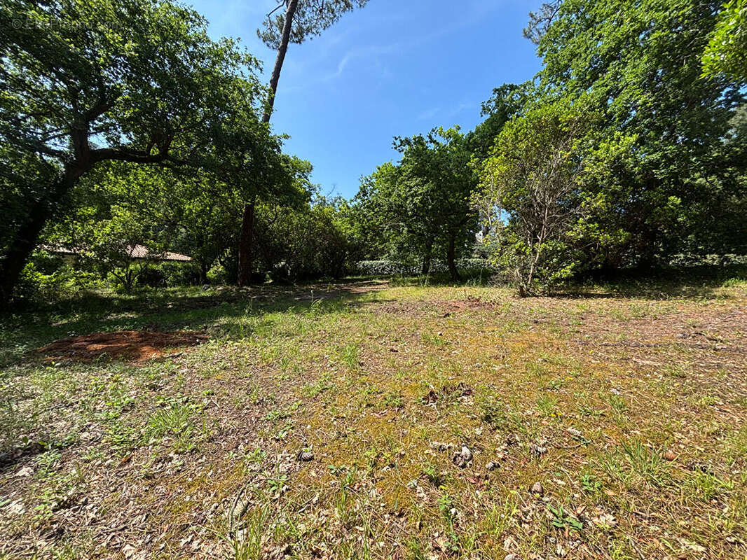 Terrain à ARCACHON
