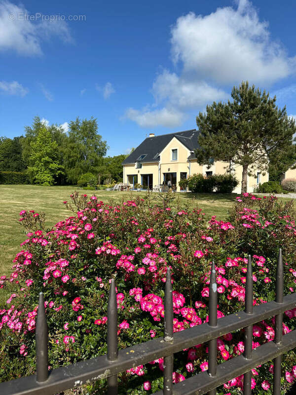 Maison à MORTAGNE-AU-PERCHE