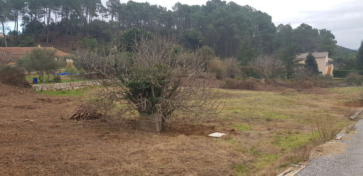 Terrain à SAINT-MARTIN-DE-VALGALGUES