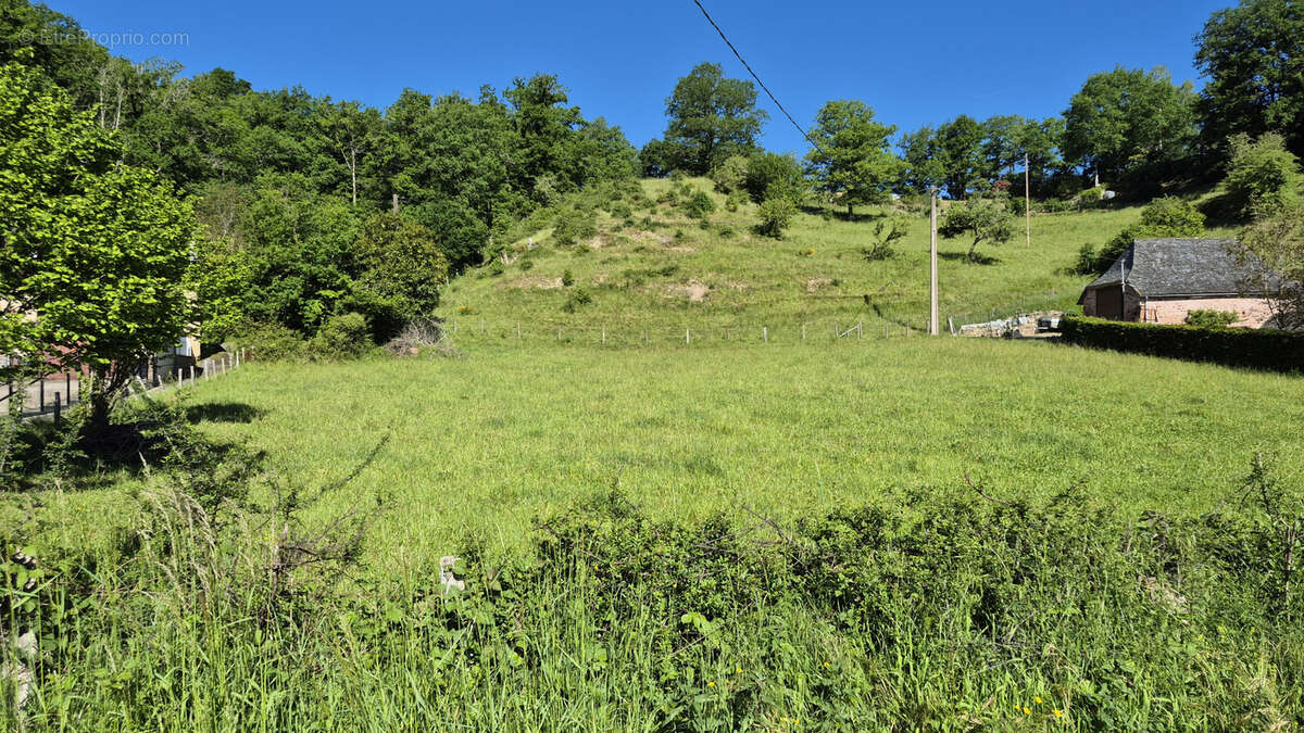 Terrain à BESSUEJOULS