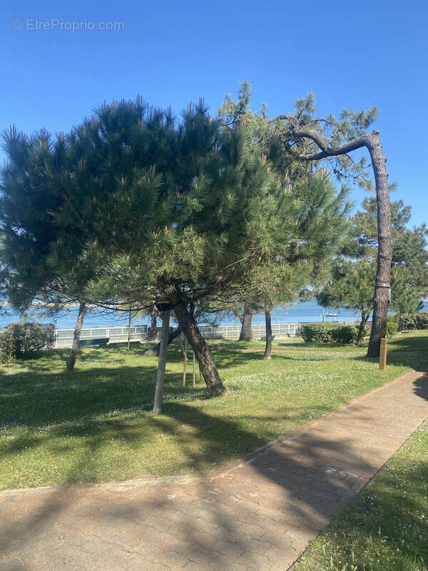 Appartement à ARCACHON