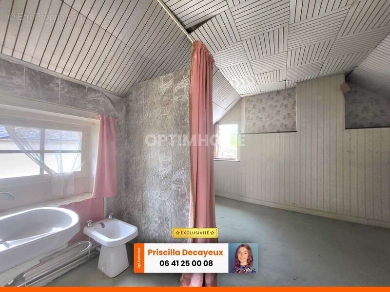 Maison à LA GUERCHE-SUR-L&#039;AUBOIS