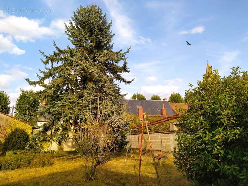 Maison à LA GUERCHE-SUR-L&#039;AUBOIS
