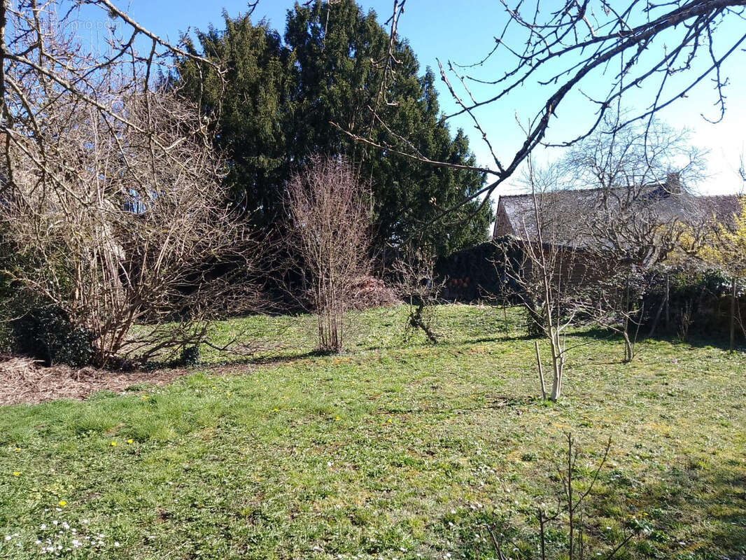 Maison à SAINT-REVERIEN