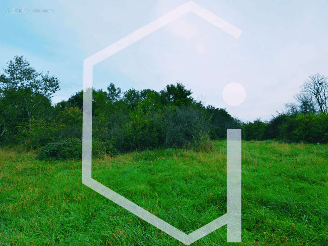 Maison à SAVIGNY-EN-SANCERRE