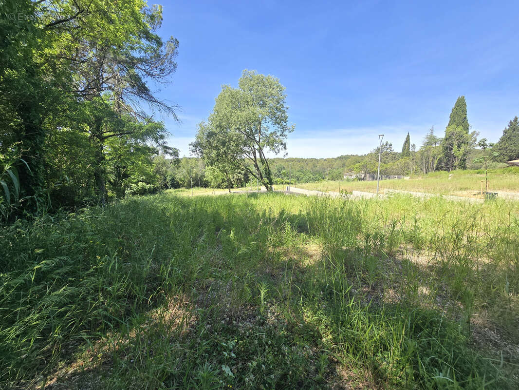 Terrain à MONTFERRIER-SUR-LEZ