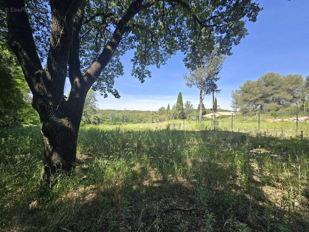 Terrain à MONTFERRIER-SUR-LEZ