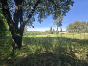 Terrain à MONTFERRIER-SUR-LEZ