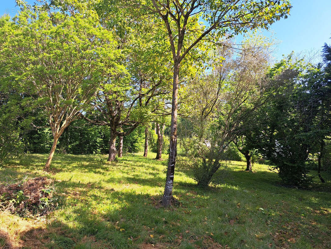 Maison à SAINT-MACAIRE