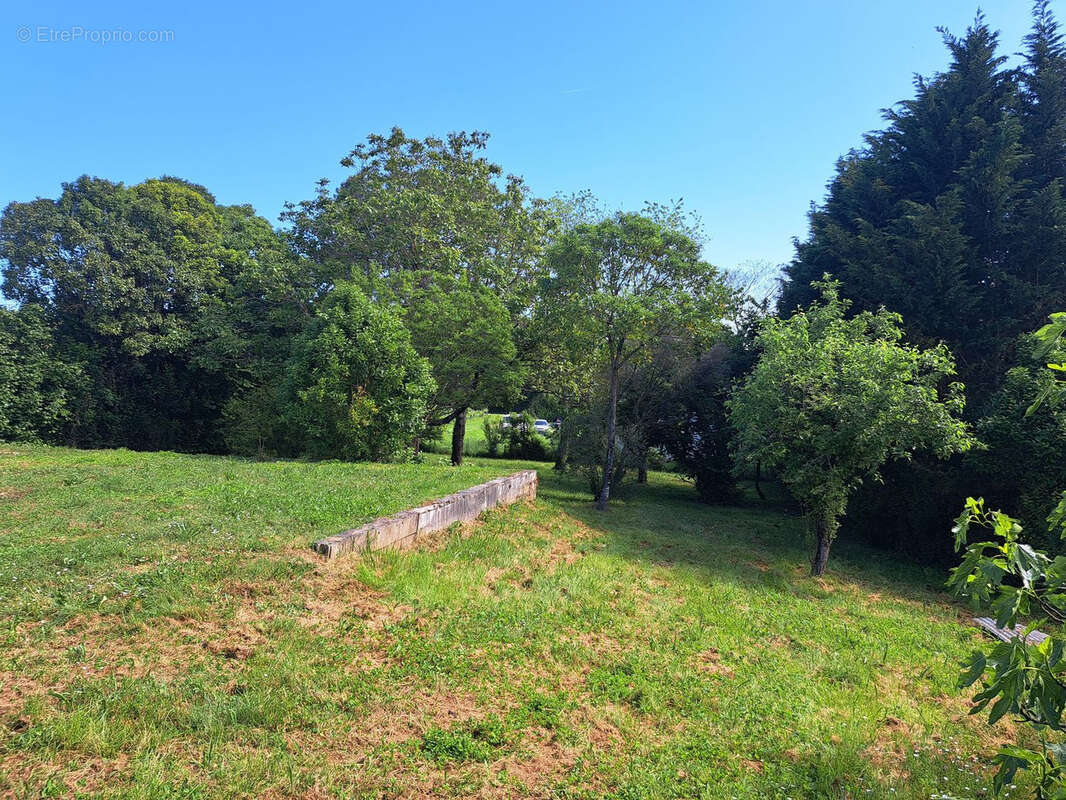 Maison à SAINT-MACAIRE