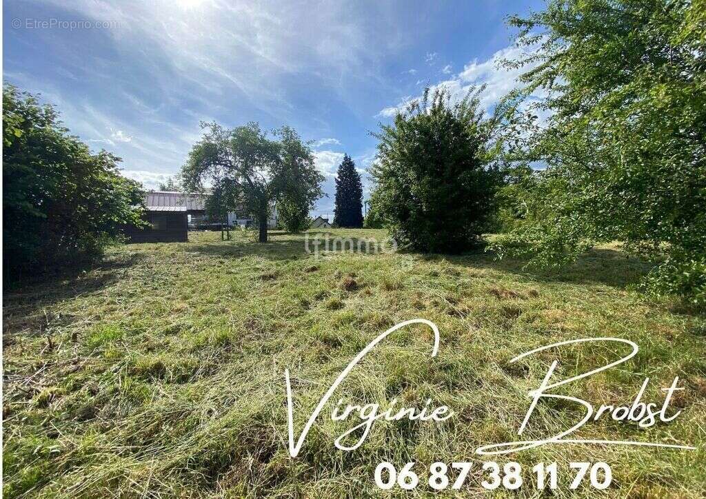 Terrain à ROHRBACH-LES-BITCHE