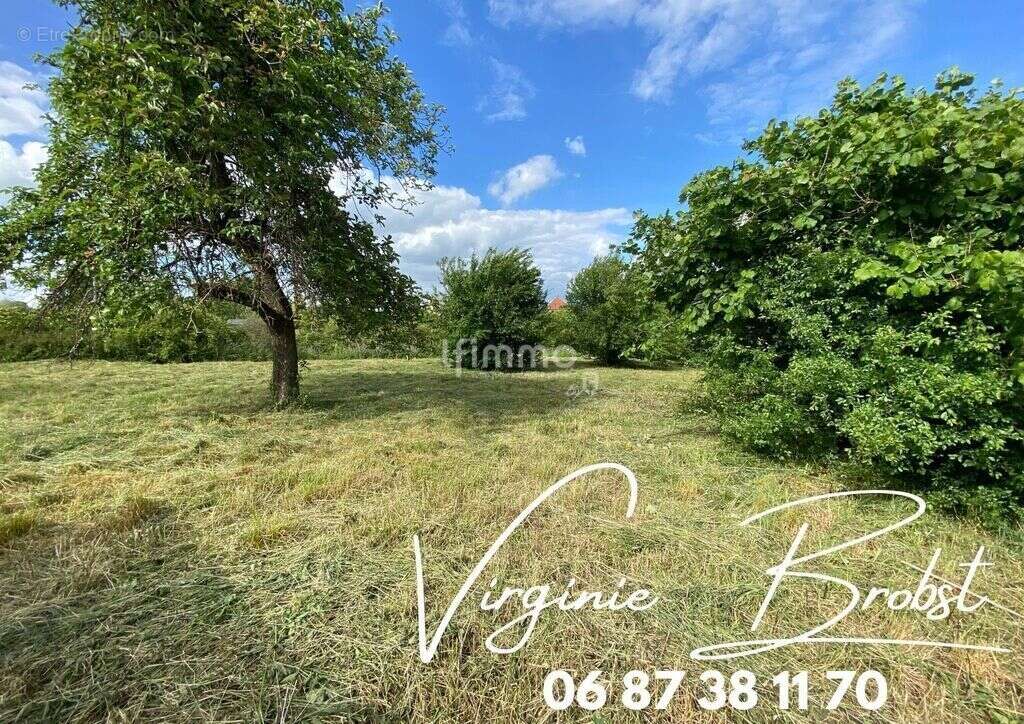 Terrain à ROHRBACH-LES-BITCHE