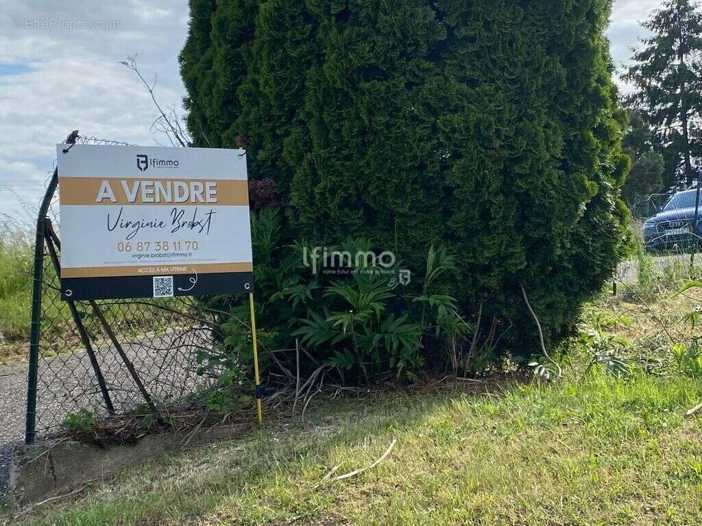 Terrain à ROHRBACH-LES-BITCHE