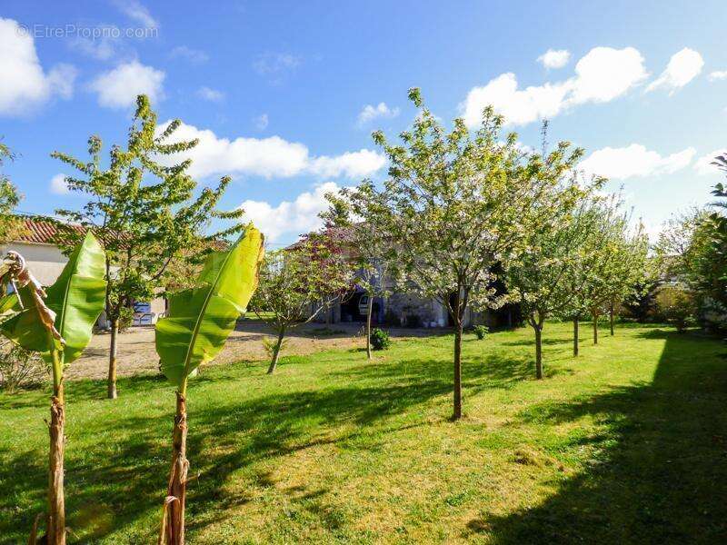 Maison à SAUZE-VAUSSAIS