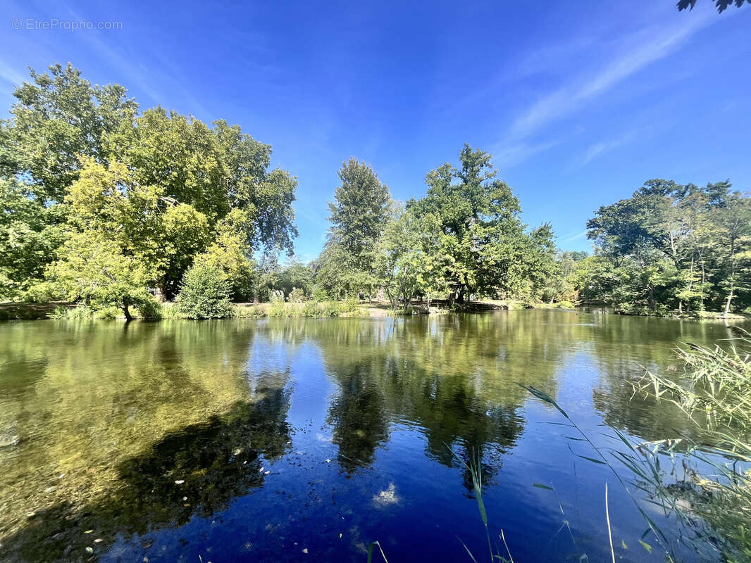 Maison à LE VESINET