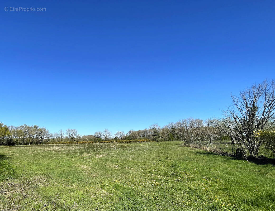 Terrain à LE CELLIER