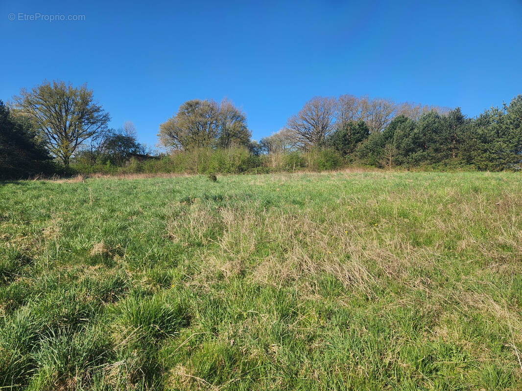 Terrain à SAINT-MARDS-EN-OTHE