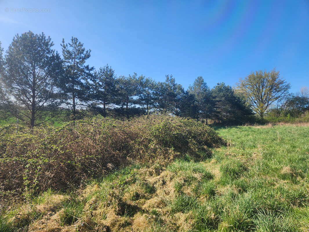 Terrain à SAINT-MARDS-EN-OTHE