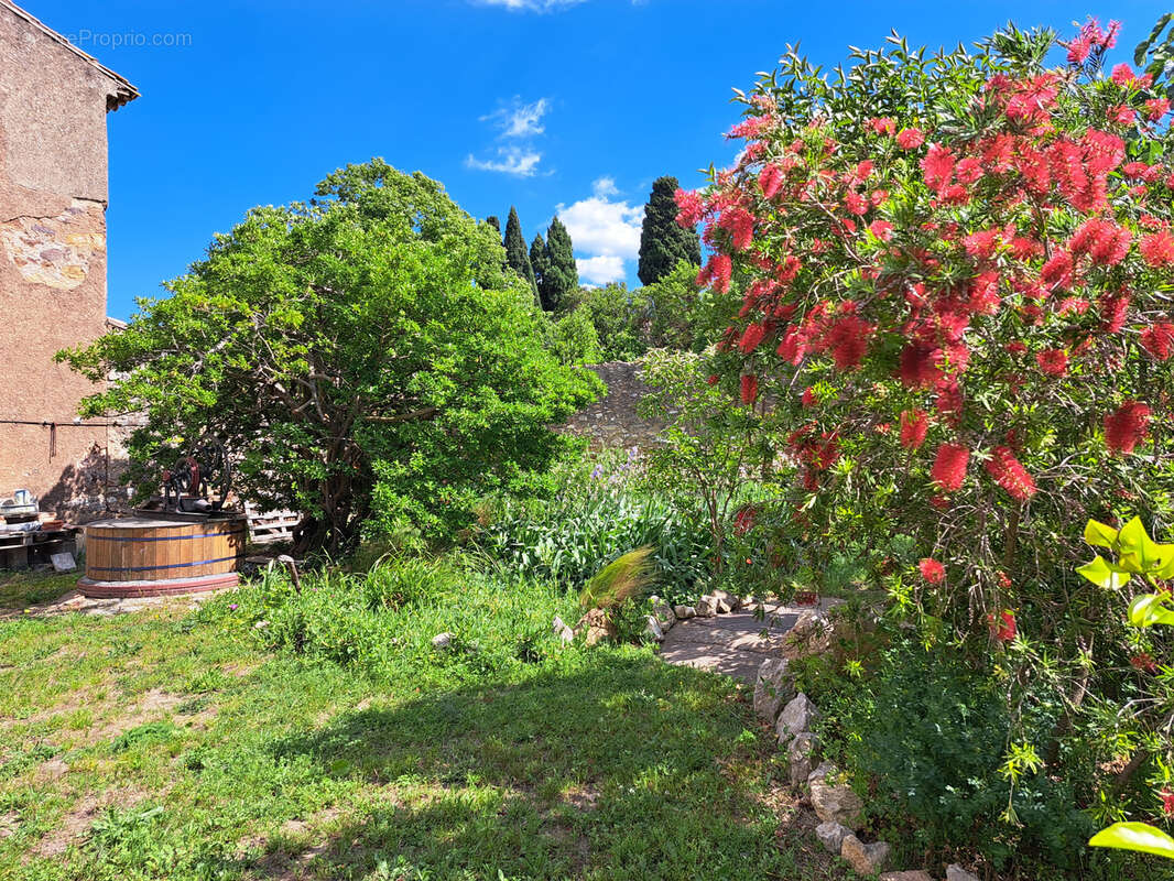 Maison à THEZAN-DES-CORBIERES