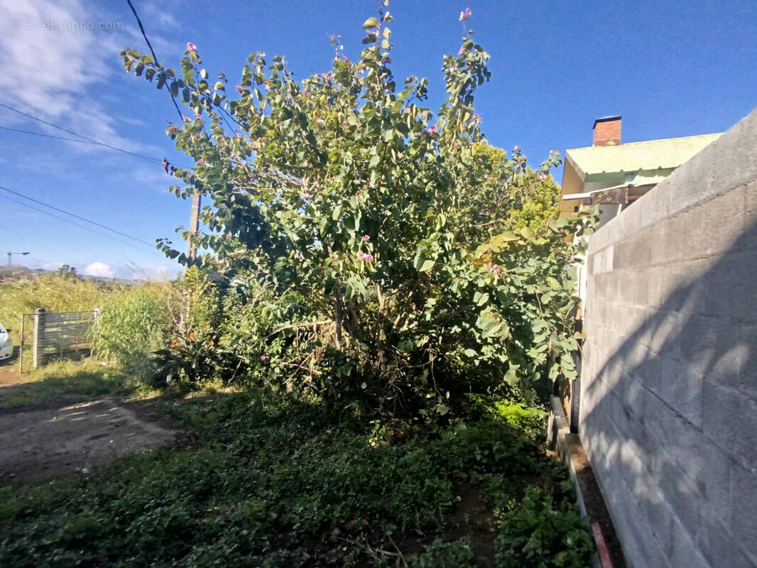 Terrain à LE TAMPON