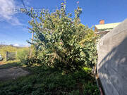 Terrain à LE TAMPON