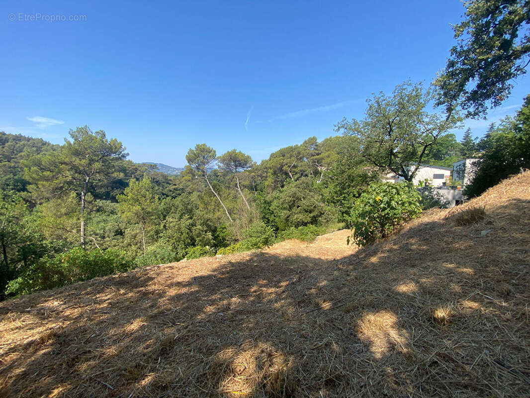 Terrain à MOUANS-SARTOUX