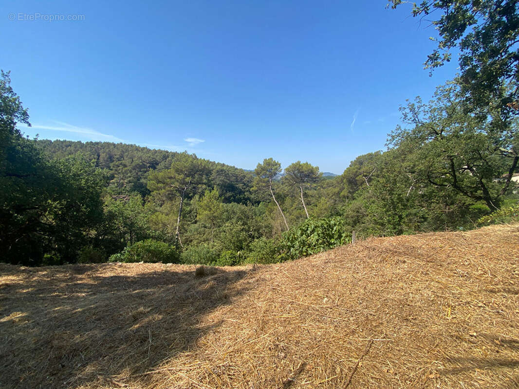 Terrain à MOUANS-SARTOUX