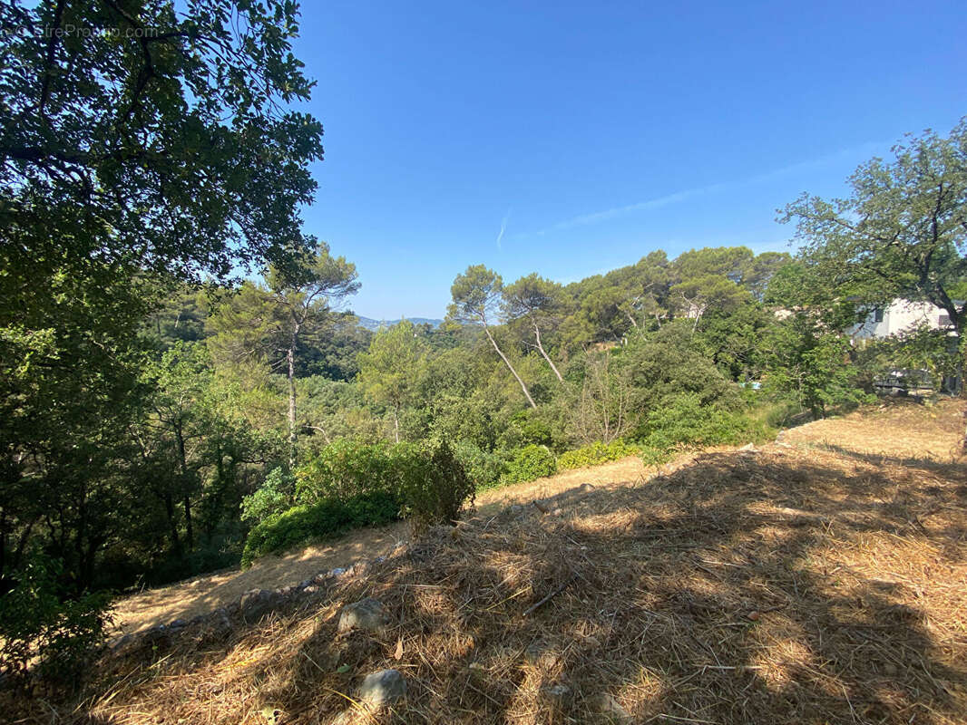 Terrain à MOUANS-SARTOUX