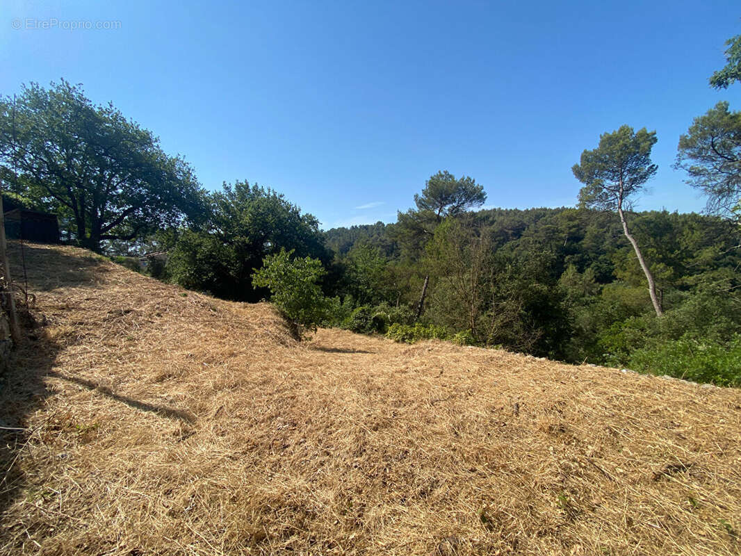 Terrain à MOUANS-SARTOUX