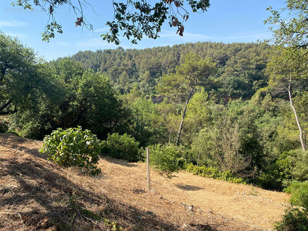 Terrain à MOUANS-SARTOUX