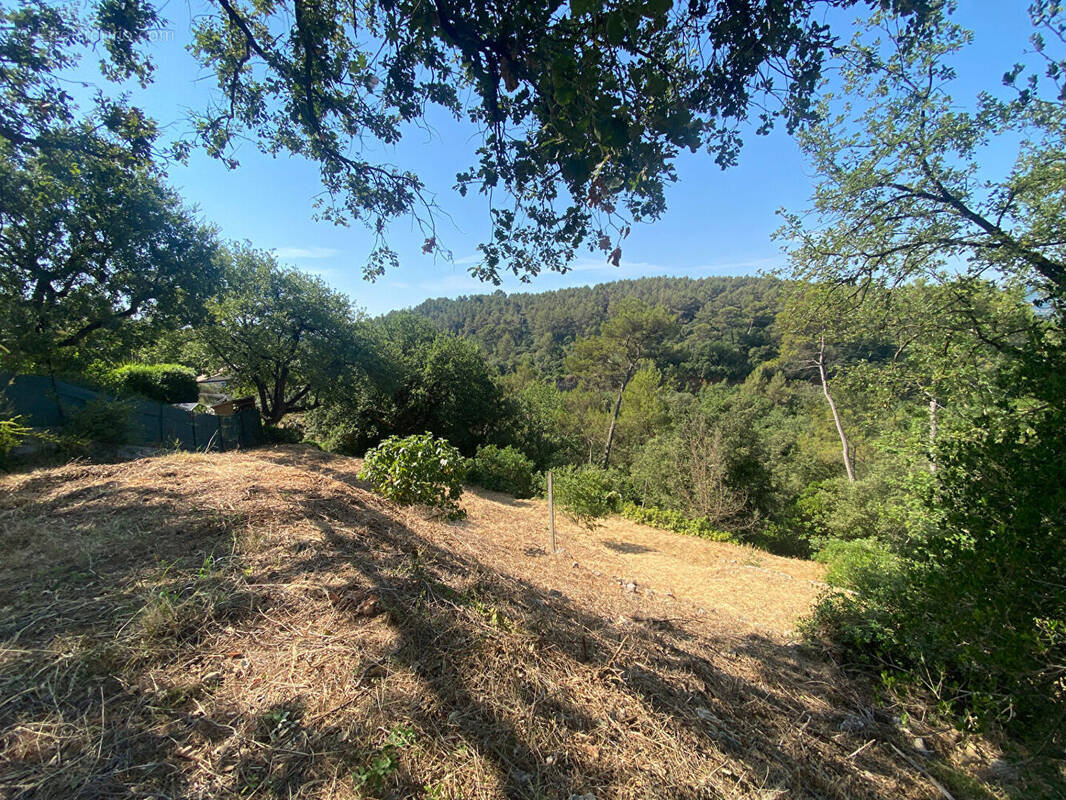 Terrain à MOUANS-SARTOUX