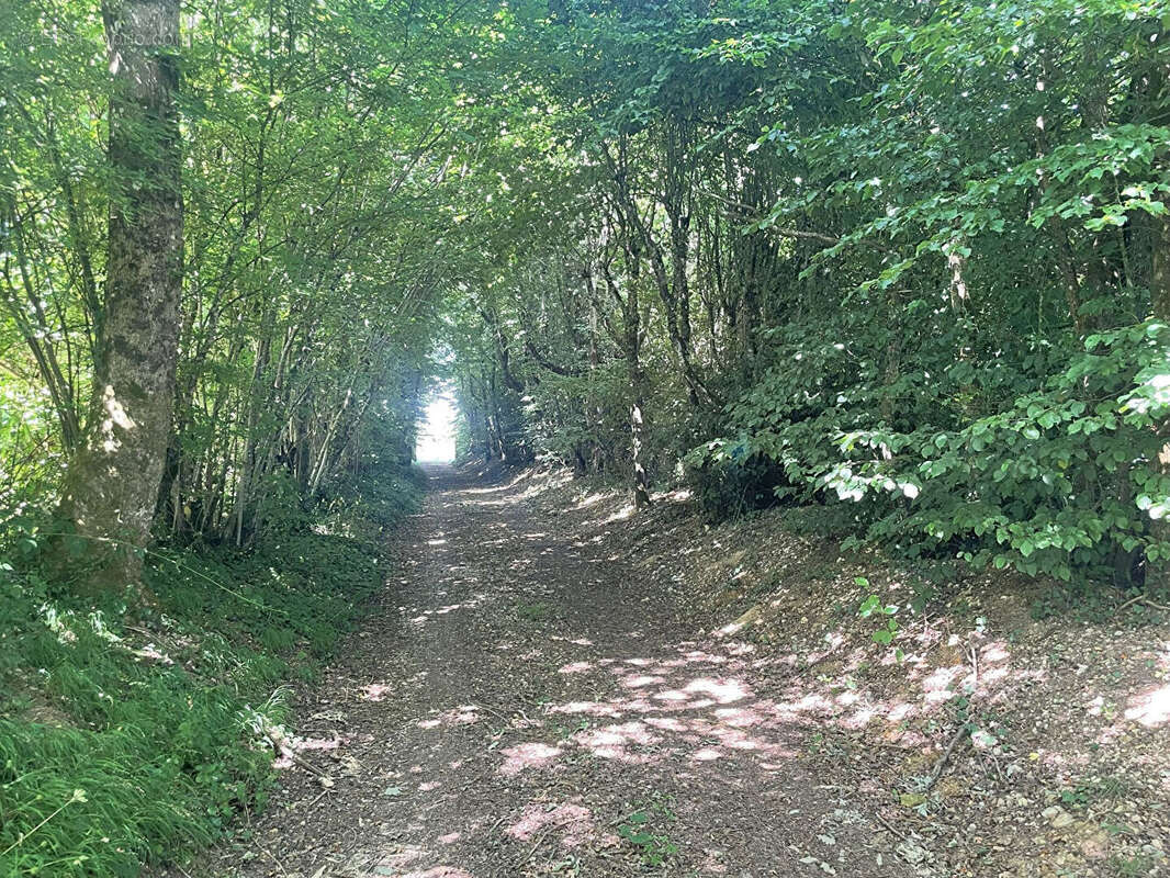 Maison à LA BAZOCHE-GOUET