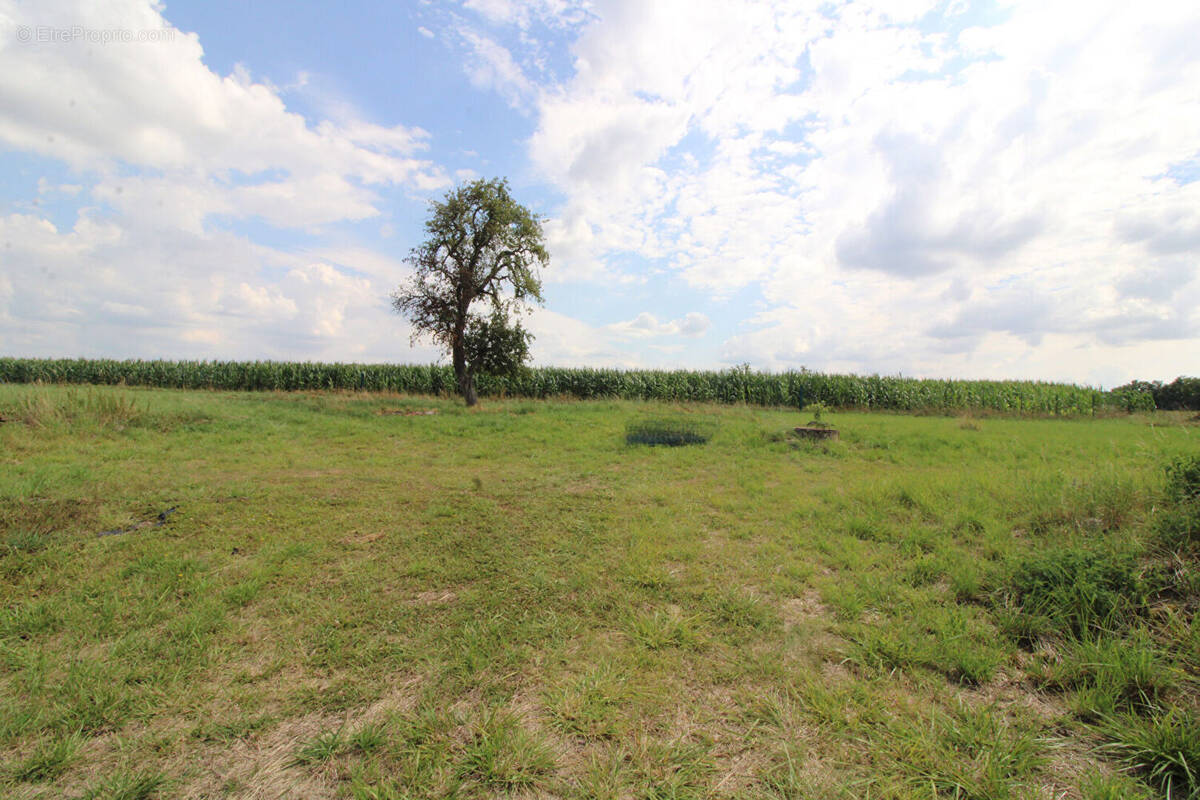 Autre à BAILLY-LE-FRANC