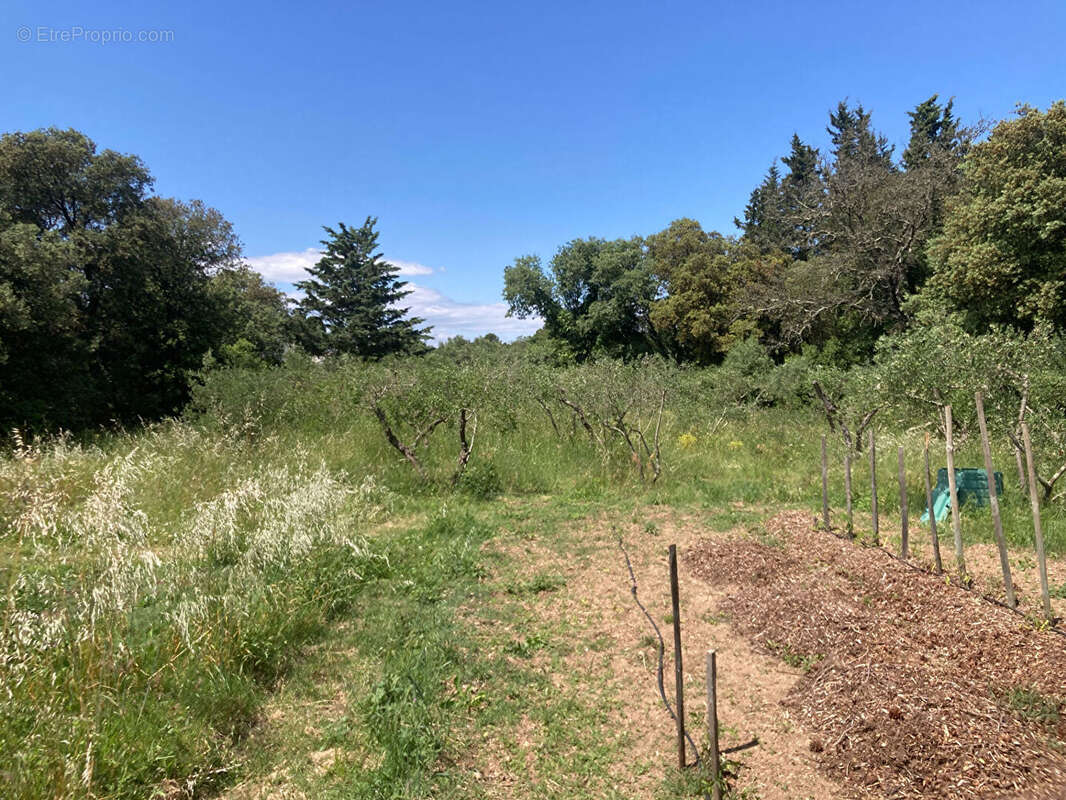Terrain à VILLEVIEILLE