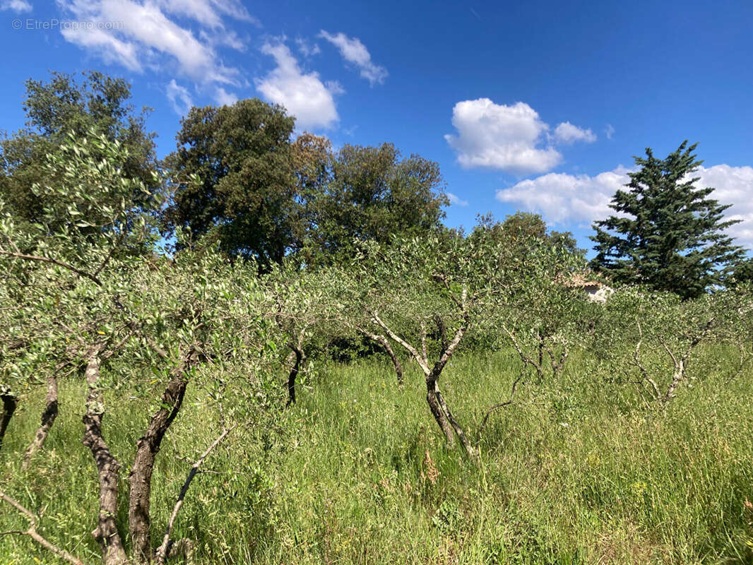 Terrain à VILLEVIEILLE