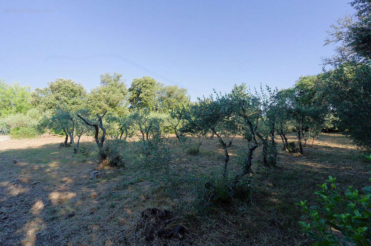 Terrain à VILLEVIEILLE