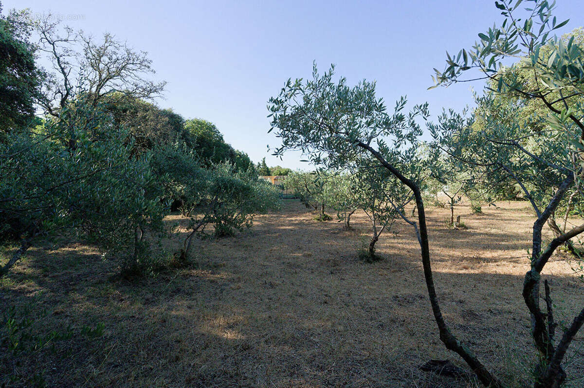 Terrain à VILLEVIEILLE