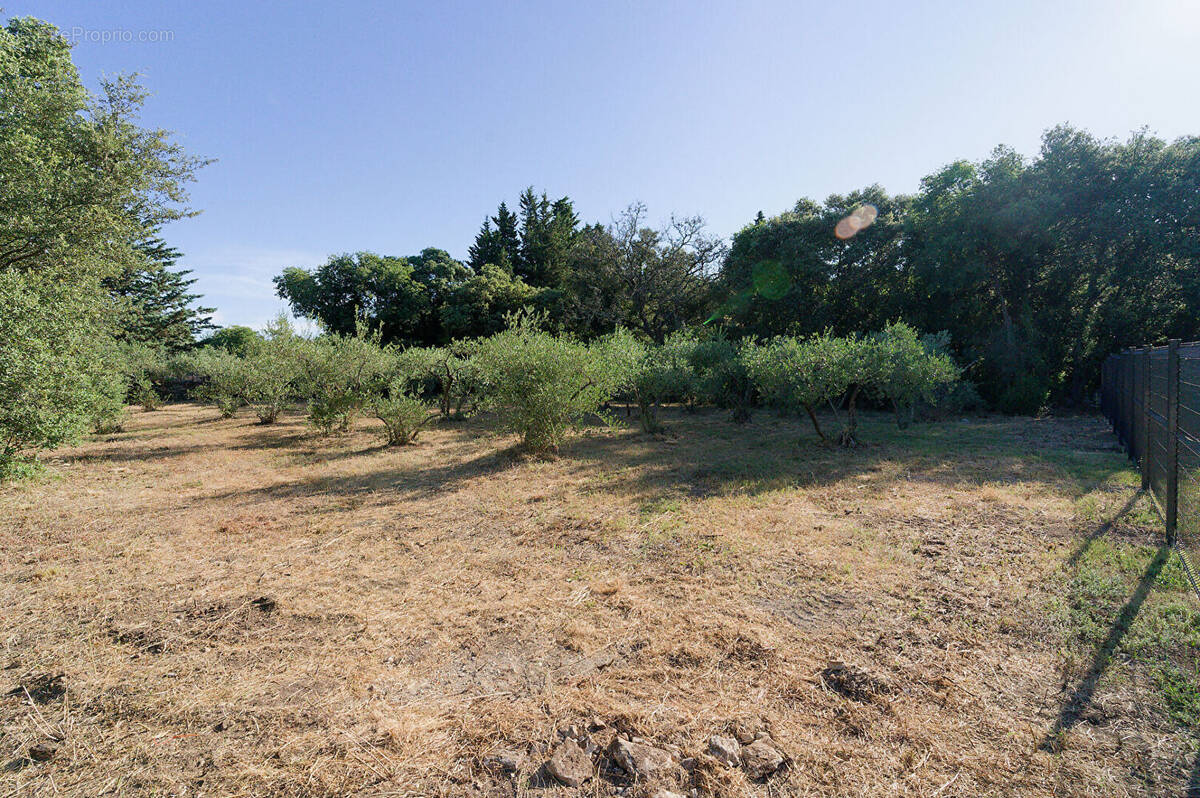 Terrain à VILLEVIEILLE
