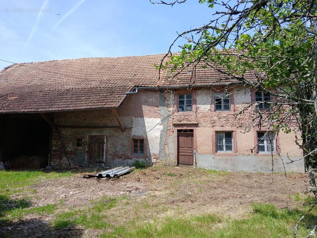 Photo 1 - Maison à ETUEFFONT